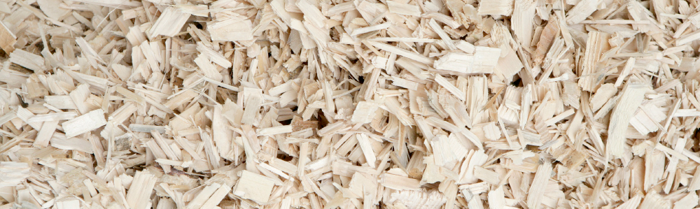 Nahwärme Stadtsäge AG