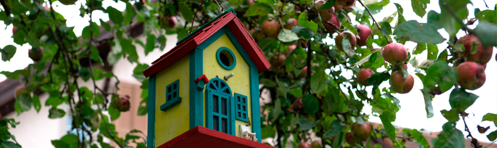 Liegenschaften Portrait