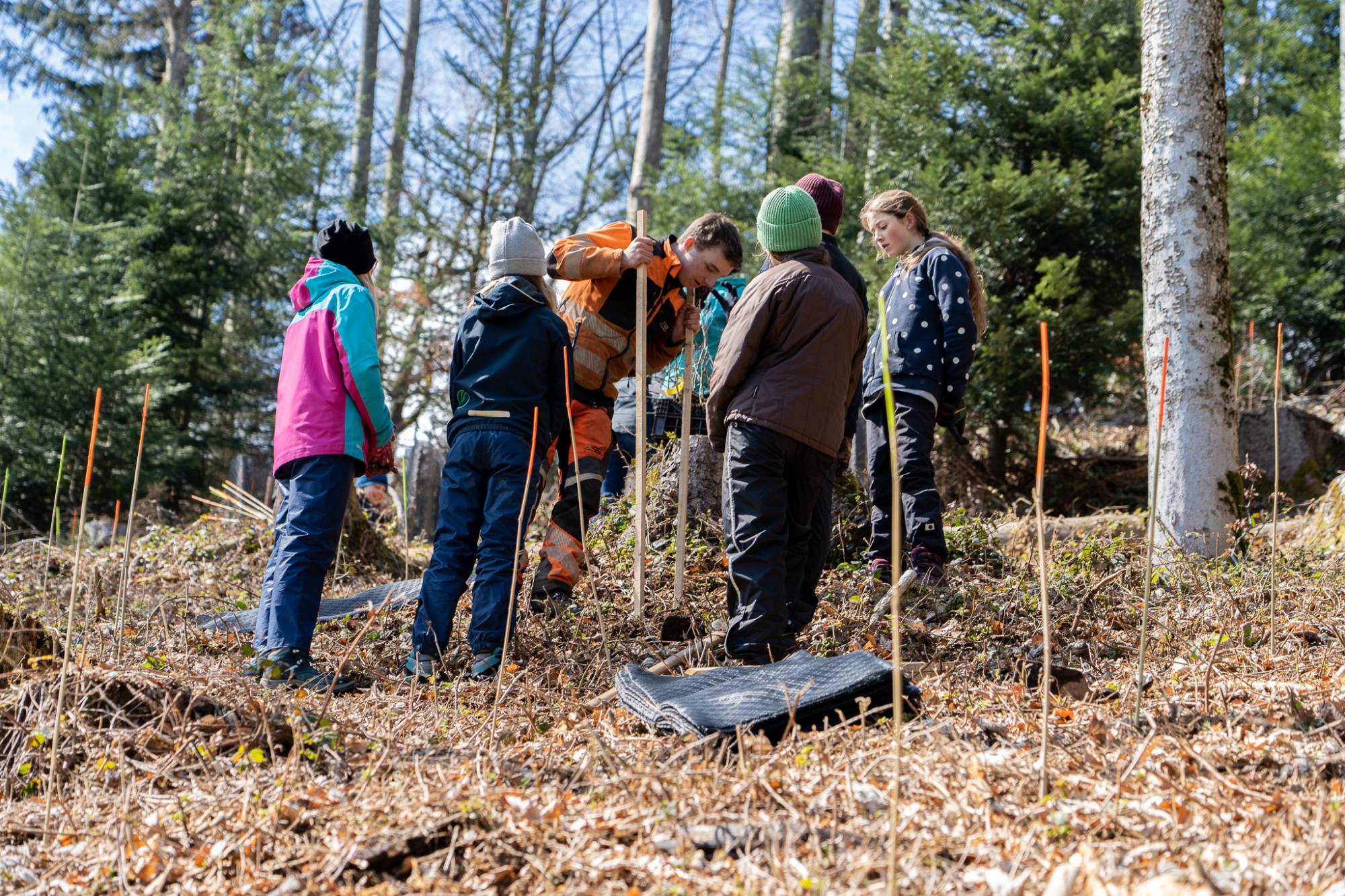 Bäume pflanzen für die Zukunft 1.jpg